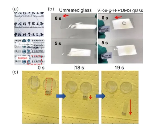 news-600-495 news-600-495